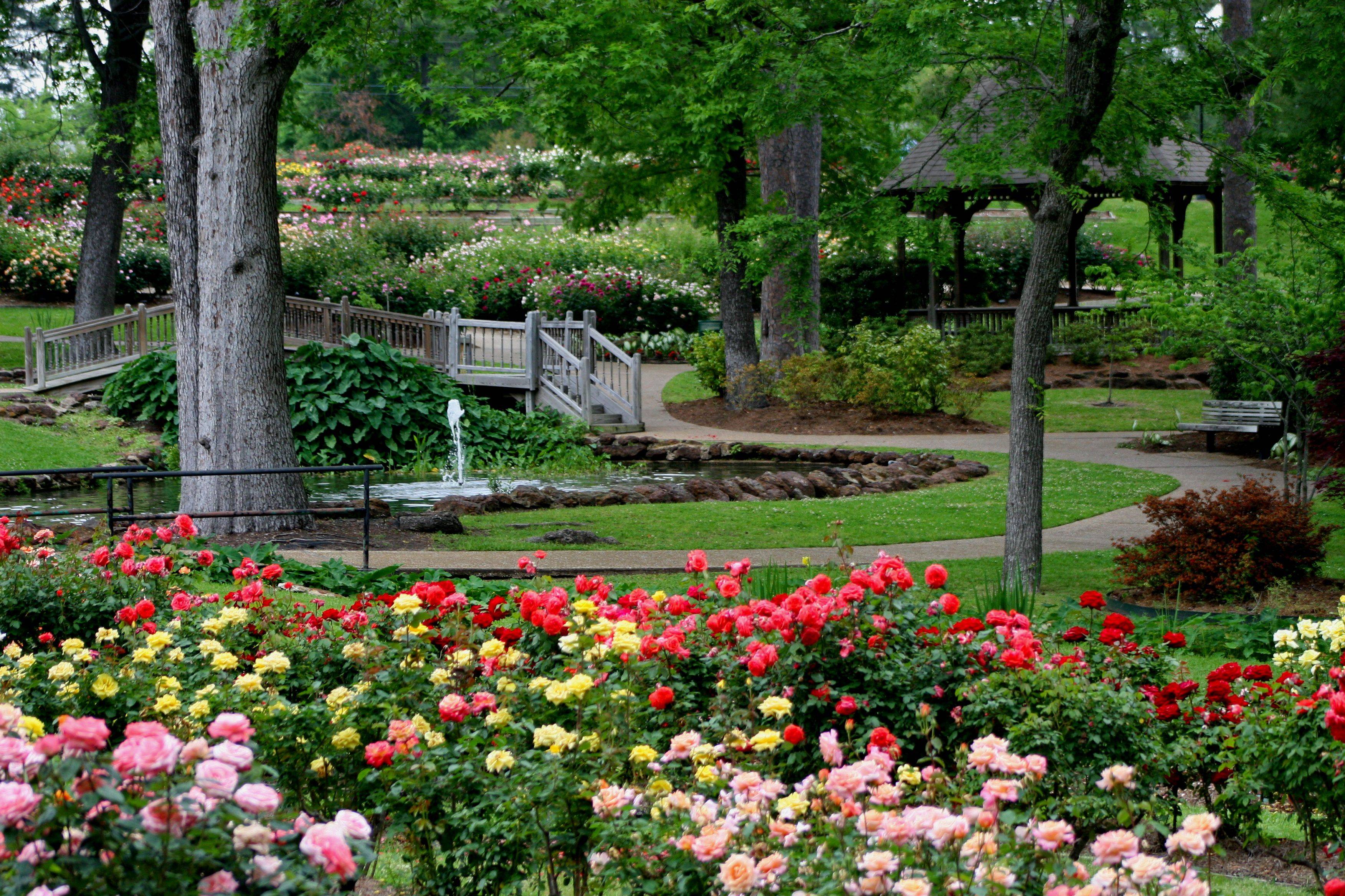 Your Rose Garden
