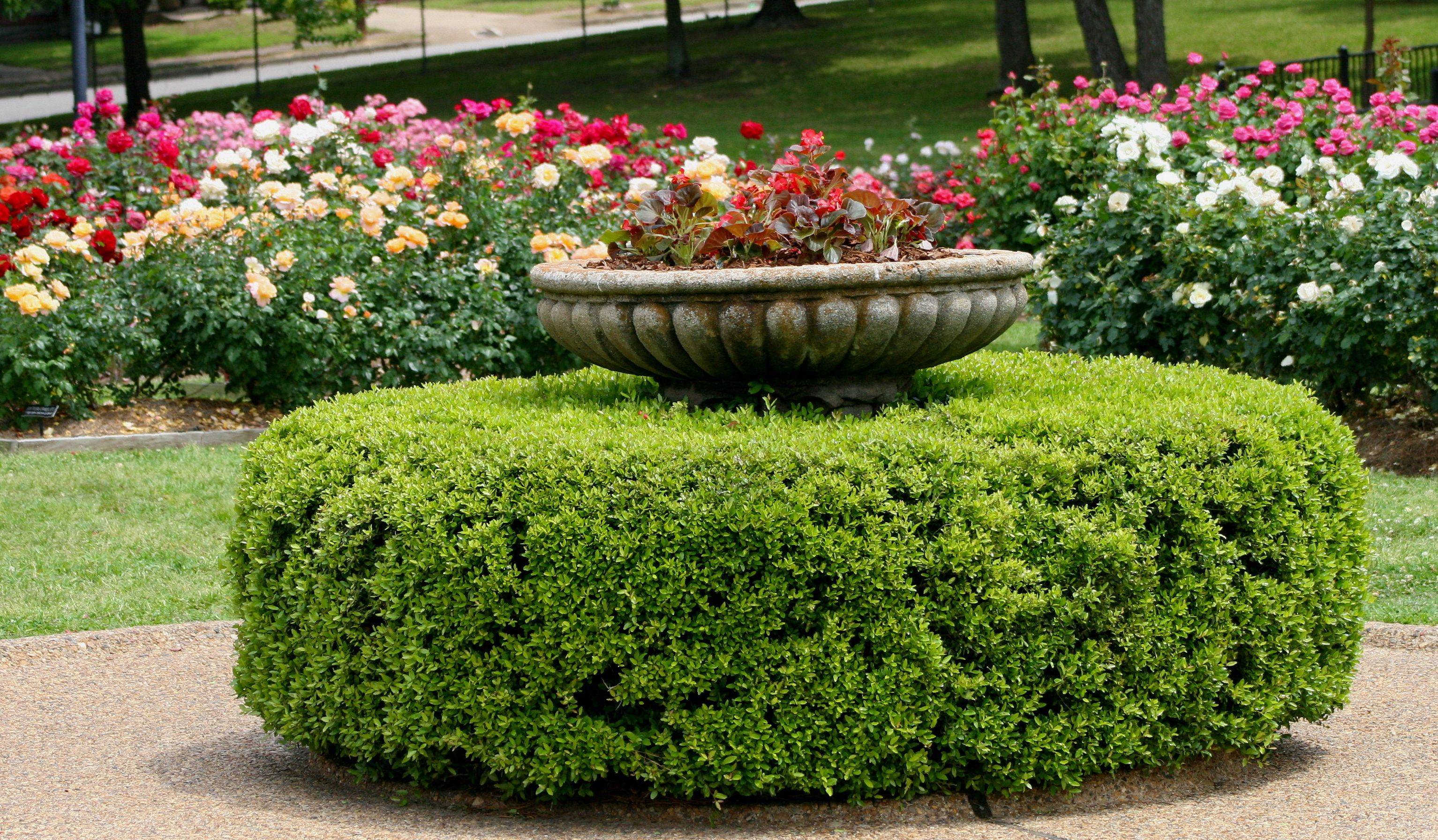 Pin On Landscaping Ideas