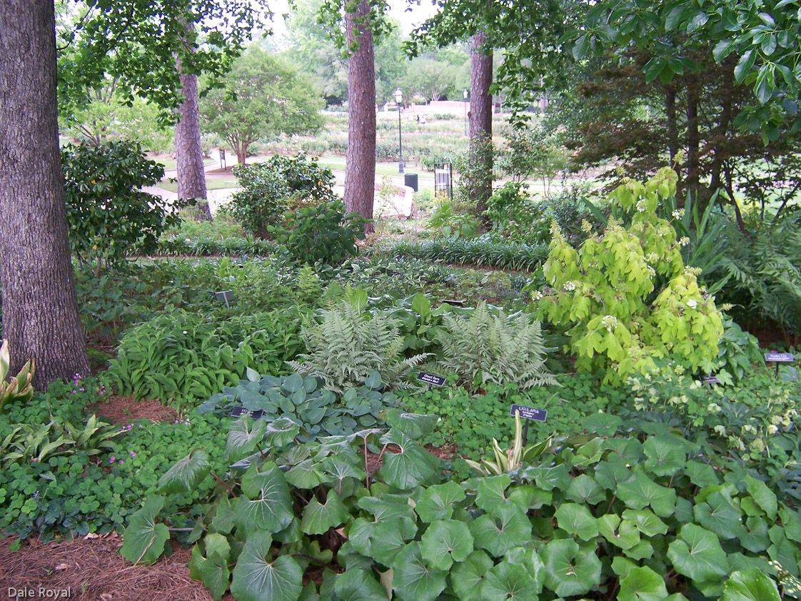 The Beautiful Municipal Rose Garden In Tyler Texas Texas Gardening