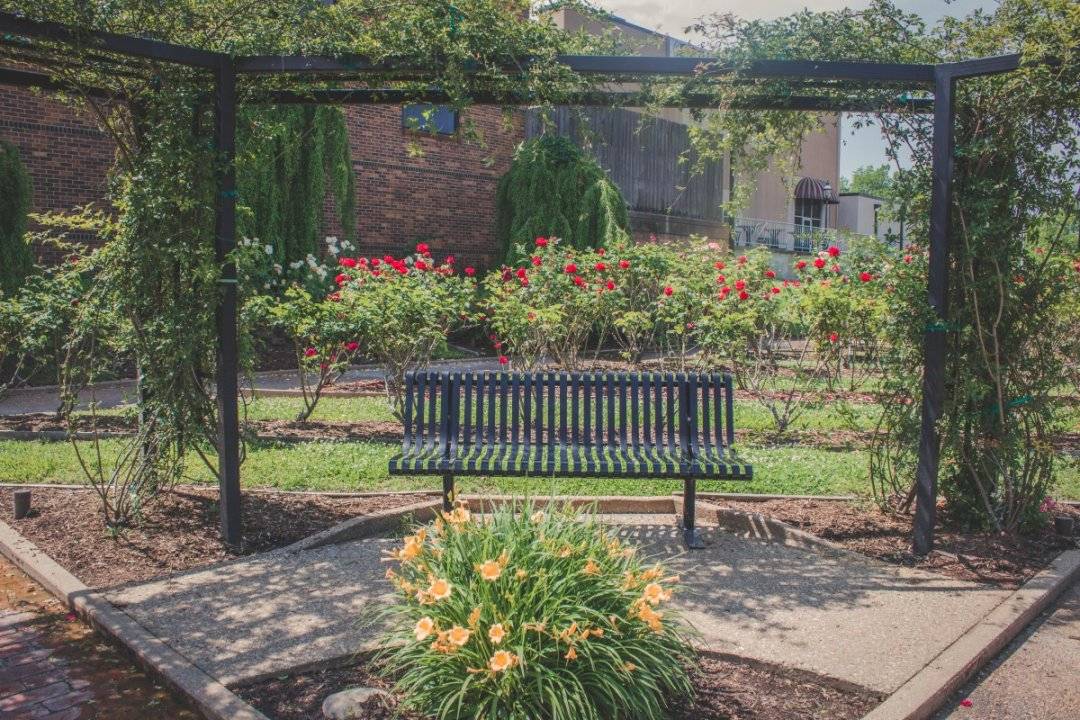 Texas Rose Garden
