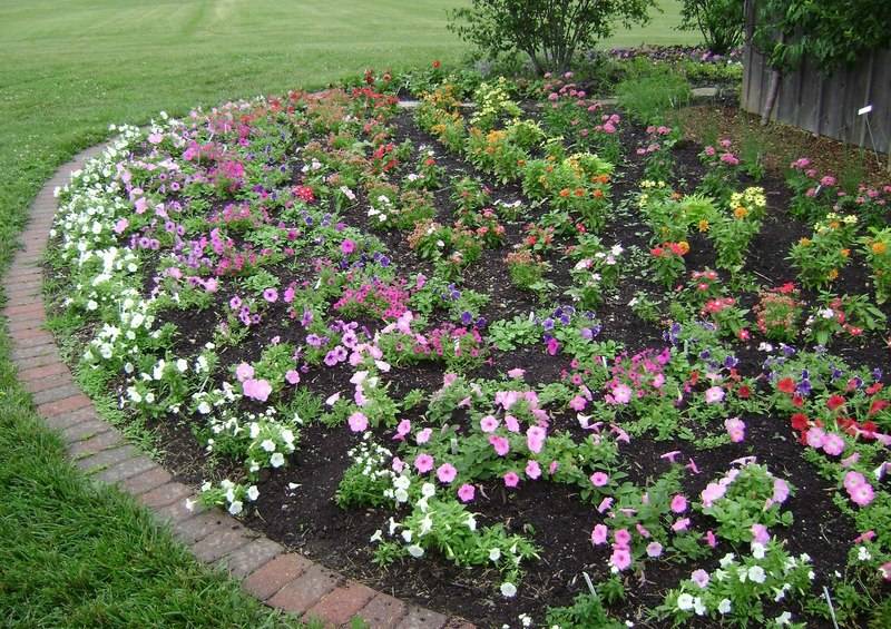 Flower Garden Designs Youll Love