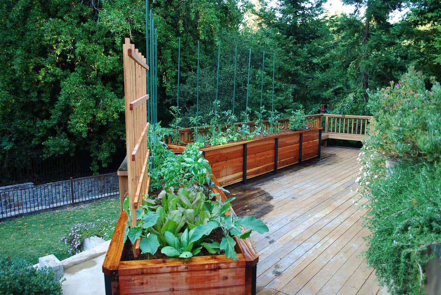 Small Raised Bed Herb Garden Layout