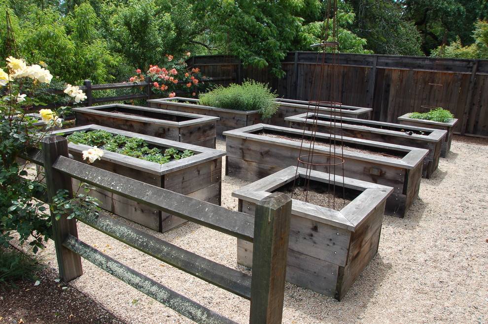Our Diy Raised Garden