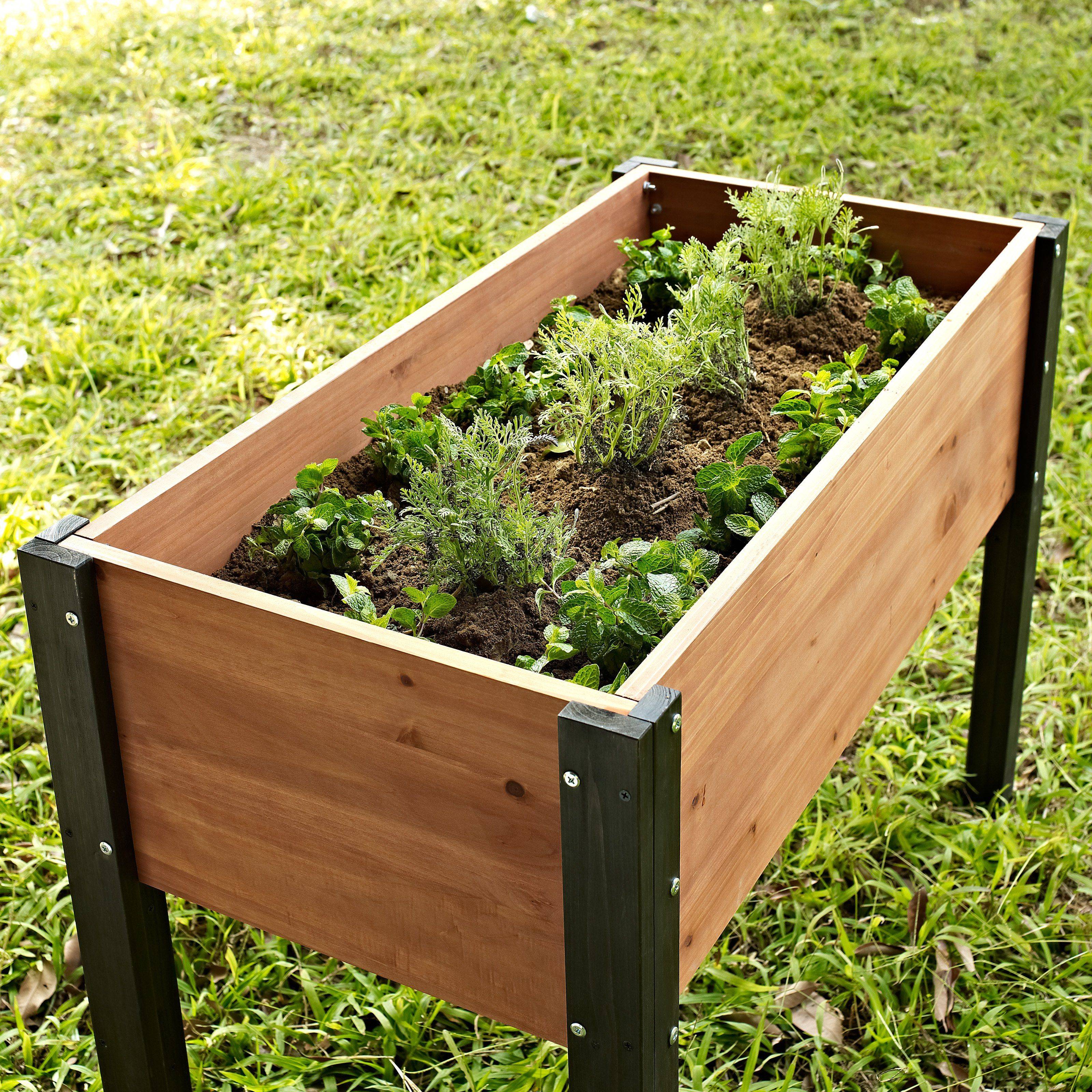 Diy Raised Planter Box