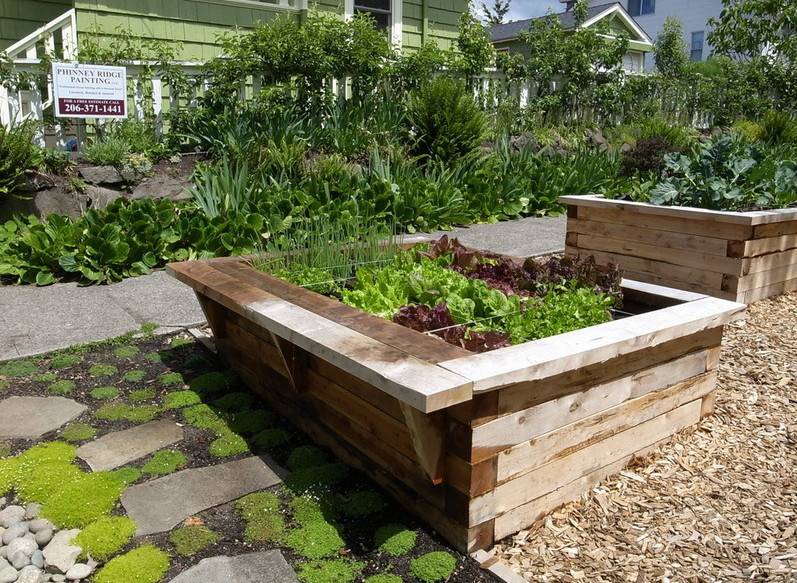 Small Raised Garden Box Interesting Ideas