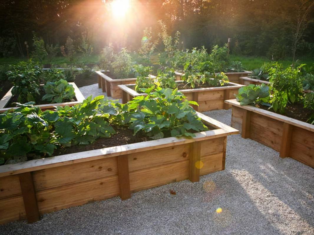 Gorgeous Diy Raised Garden Bed Ideas