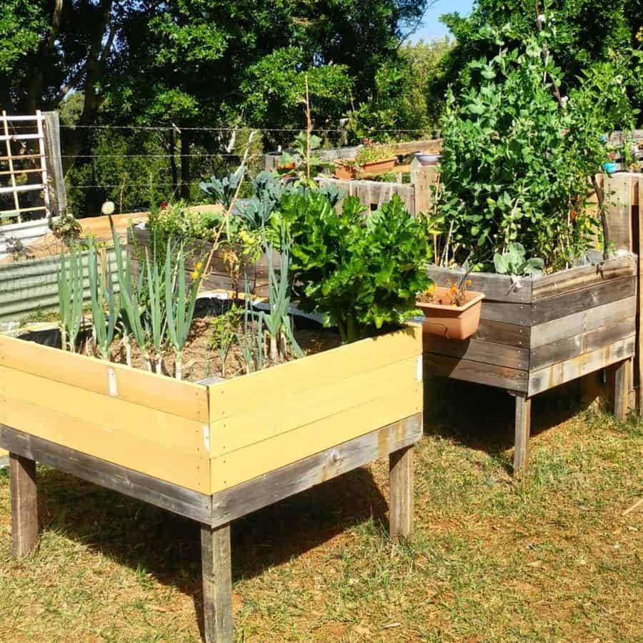 Inspiring Diy Raised Garden Bedsideas