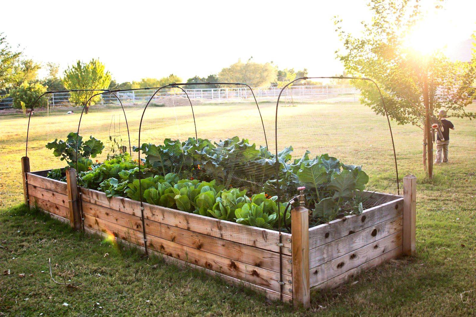 Creative Diy Raised Garden Projects