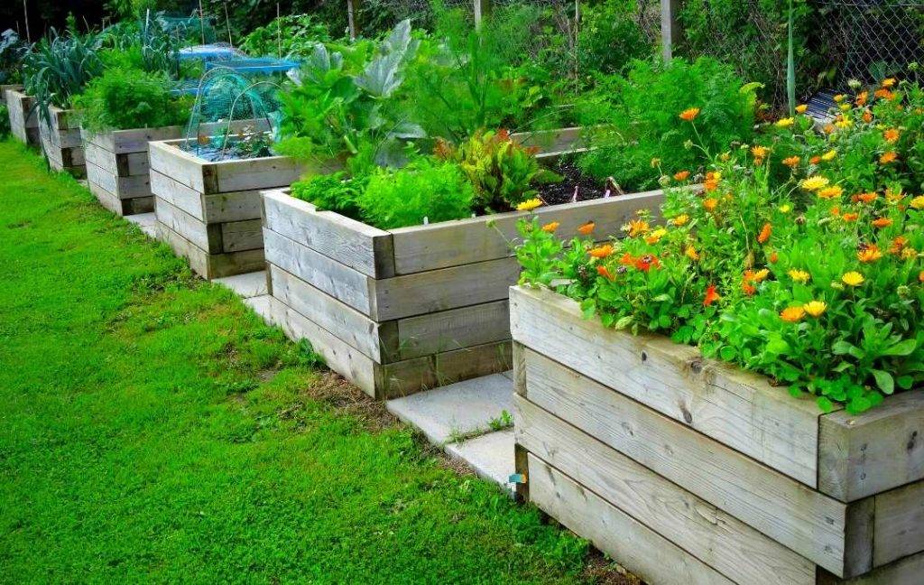 Easy Lowmaintenance Backyard Gardens