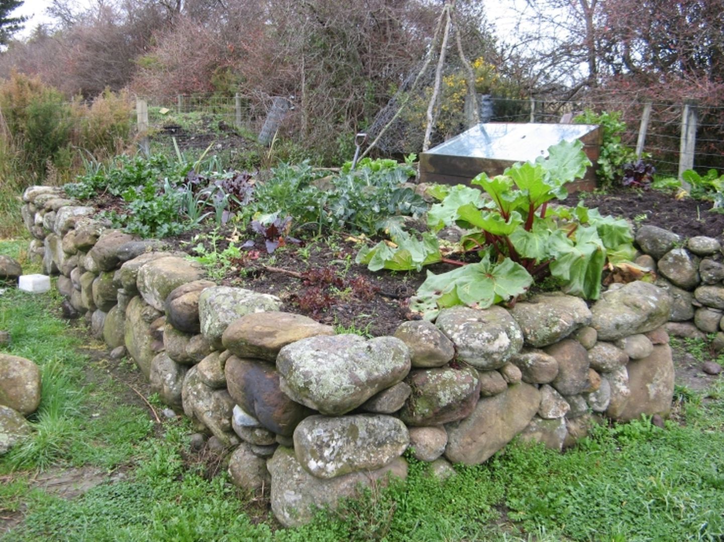 A Beautiful Raised Bed