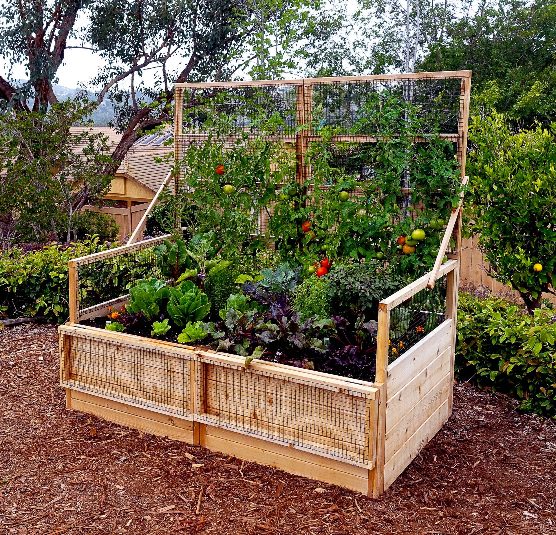 Raised Bed Garden Design Ideas