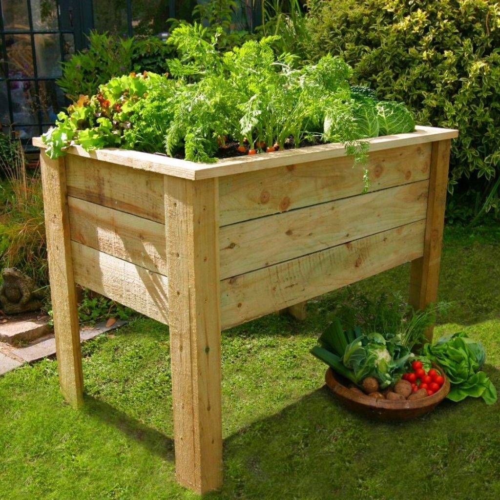 Backyard Raised Bed Garden Ideas