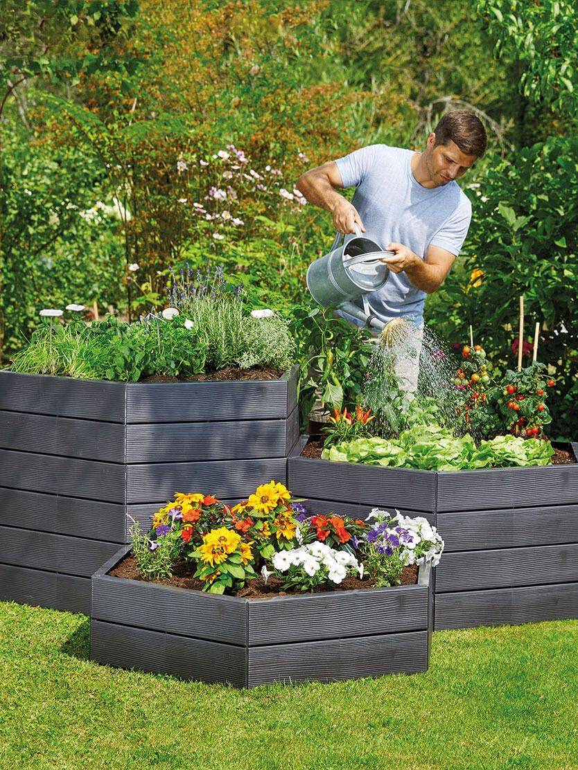 A Raised Bed