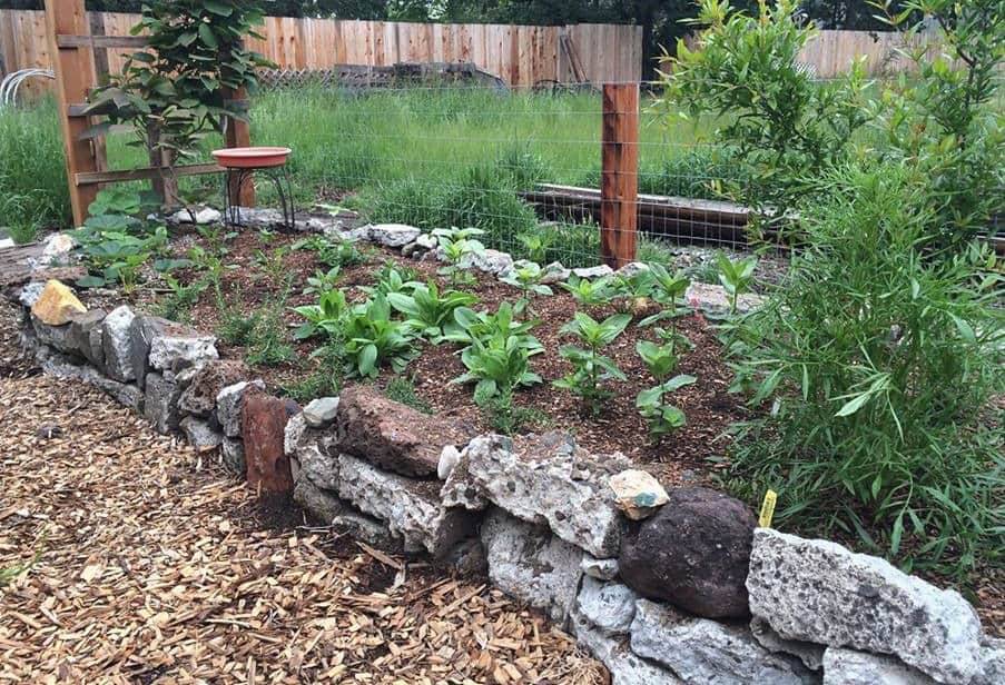 Your Raised Garden Bed