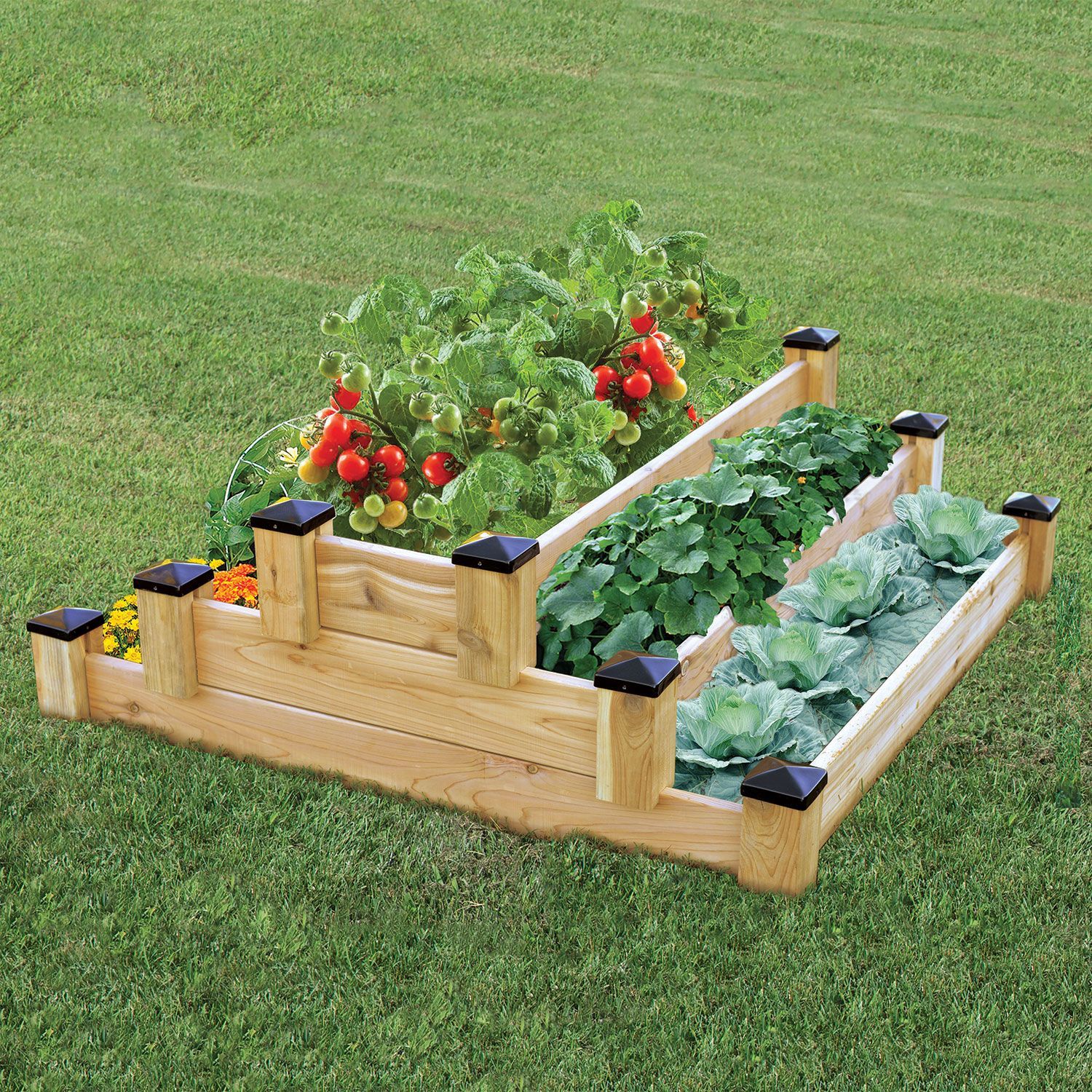 Raised Herb Garden Design Photograph