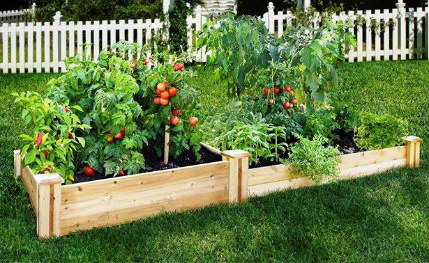 Inspiring Diy Raised Garden Bedsideas