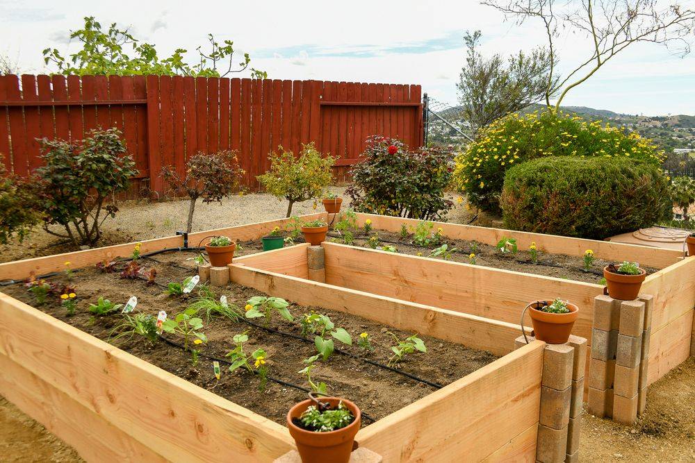 All Composite Raised Bed X X Square
