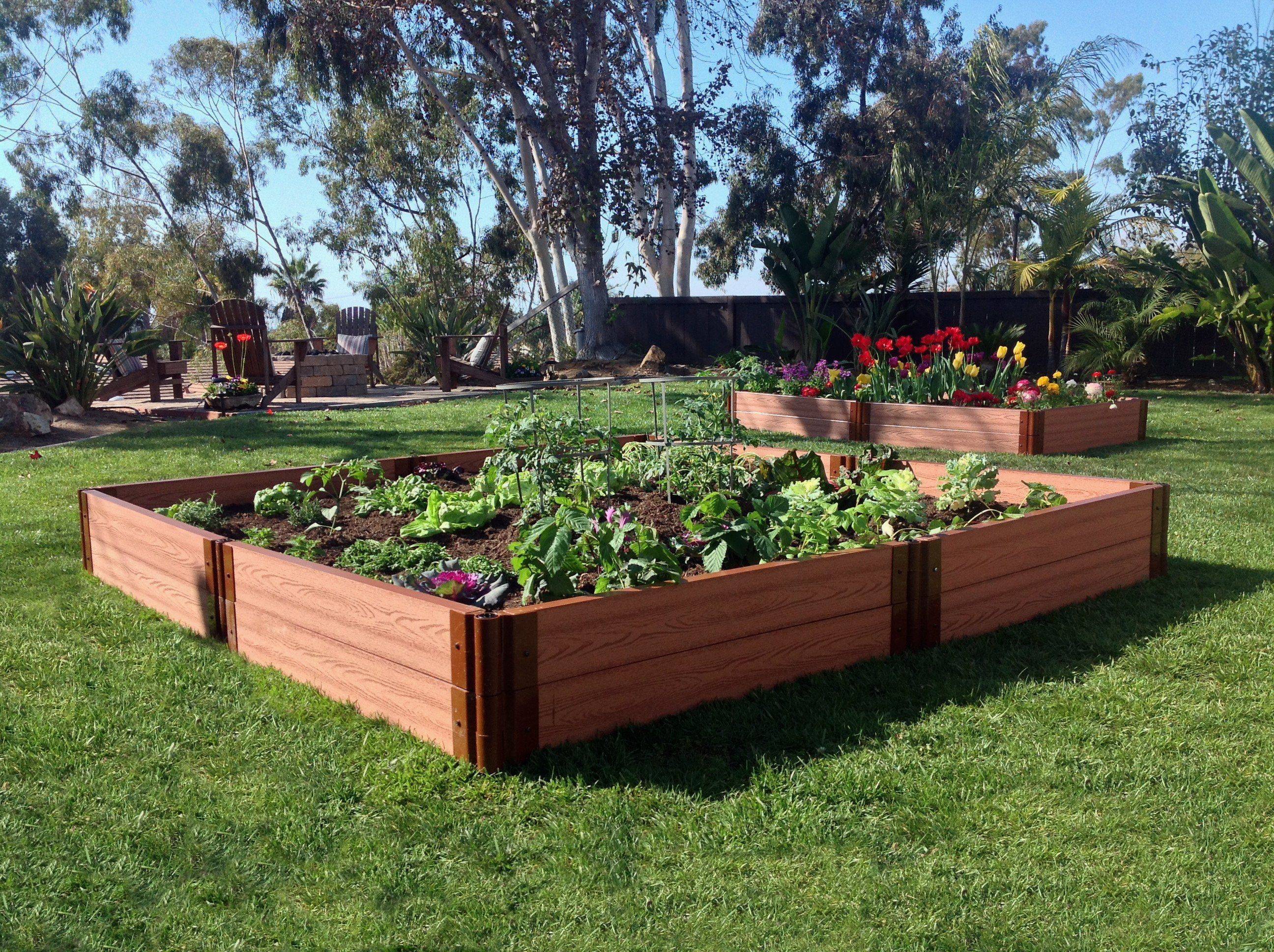 Raised Garden Bed Planter Flower Vegetable Cedar Box Kit Outdoor Plant