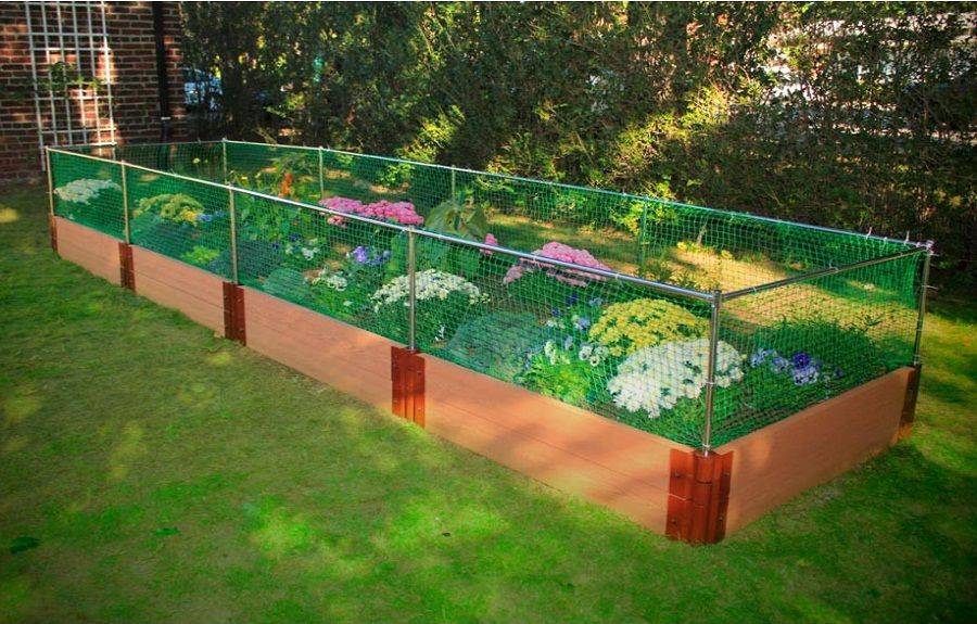 Raised Garden Beds