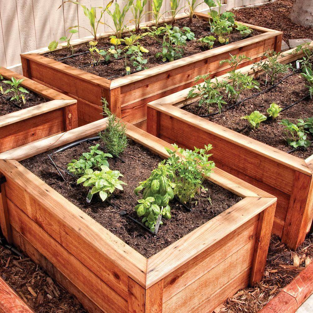 Raised Redwood Vegetable Garden Bed