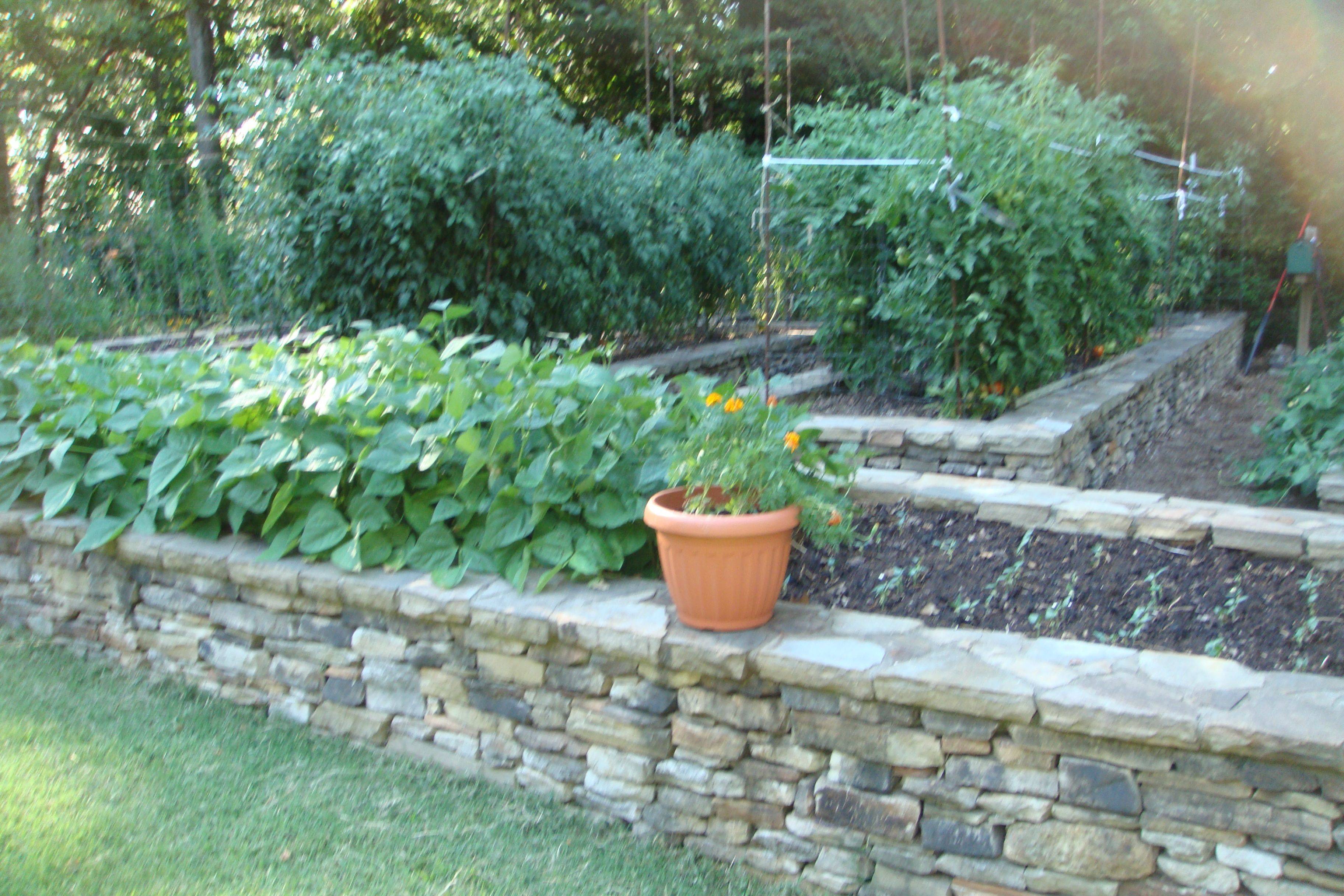 Google Search Raised Garden Beds