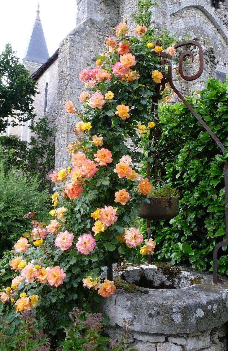 Brilliant French Country Garden Decor Ideas