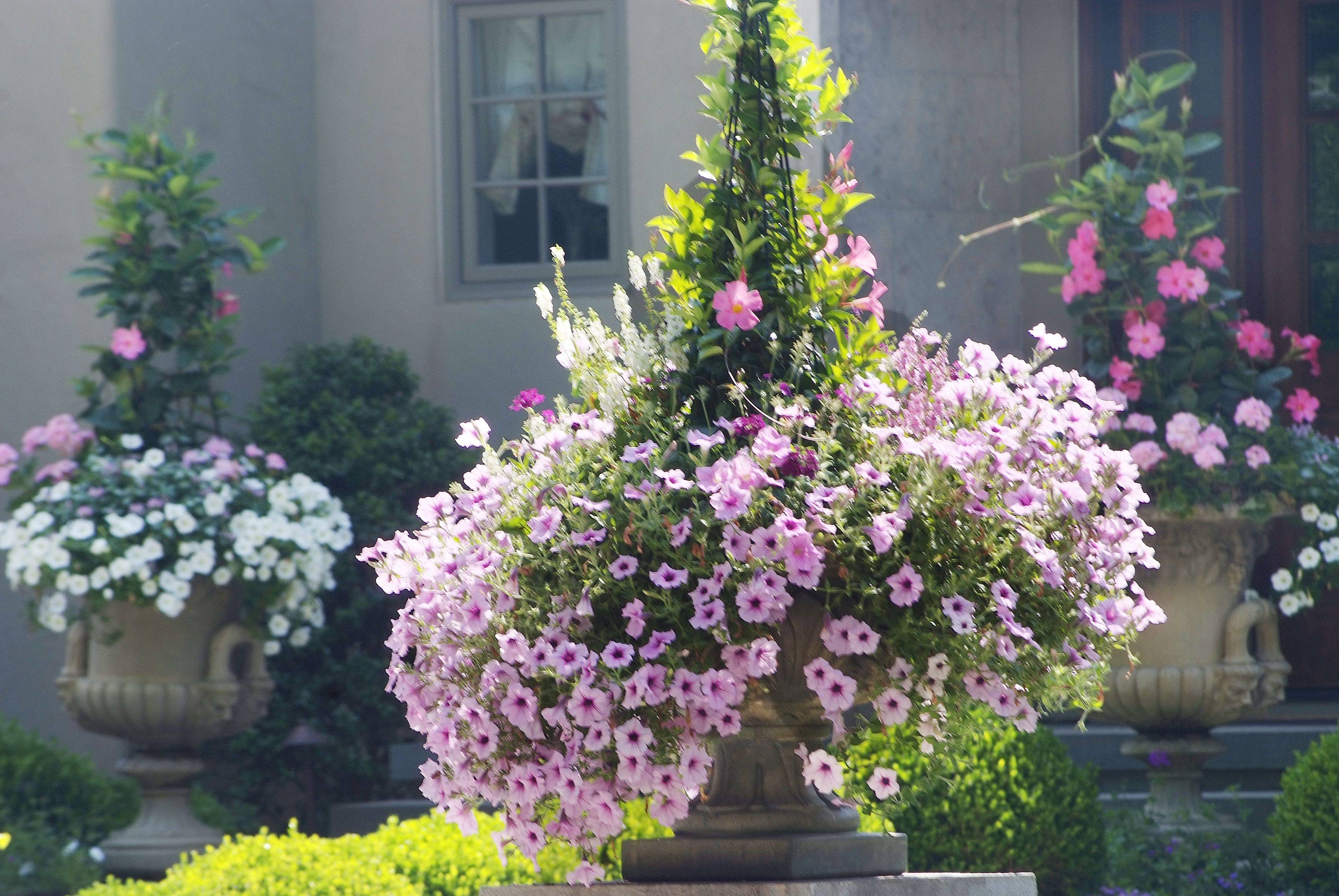 French Country Patio Backyard Garden Landscaping Design Ideas