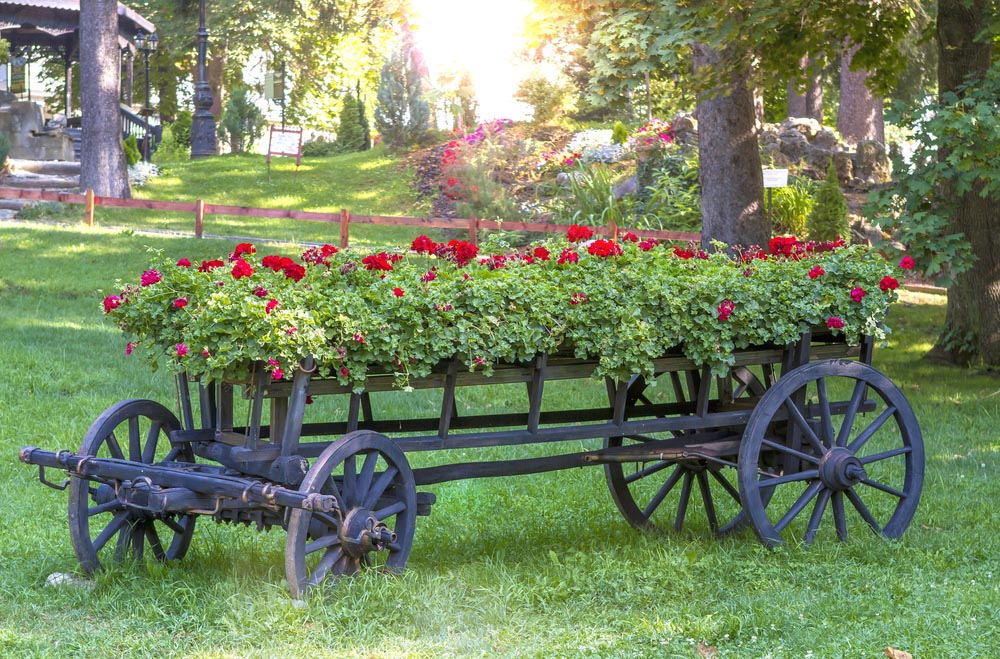 Rustic Backyard Garden Ideas Garden Design