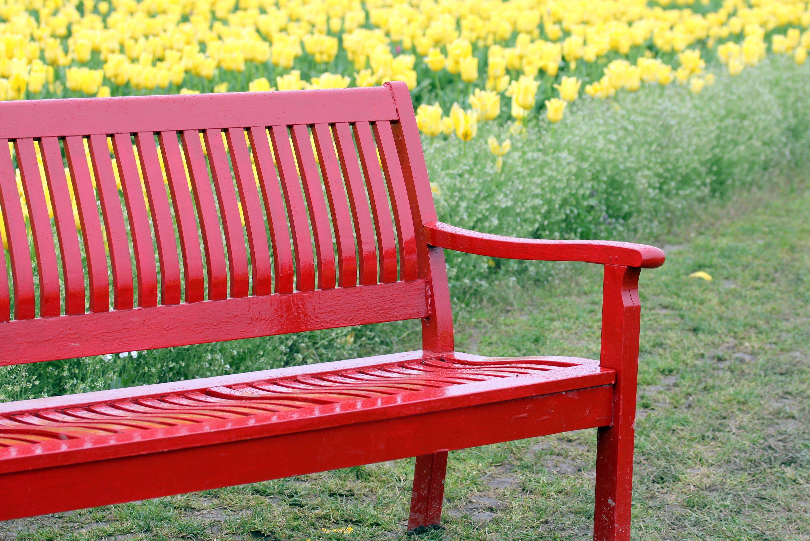 16 Yellow Garden Bench Ideas You Must Look SharonSable