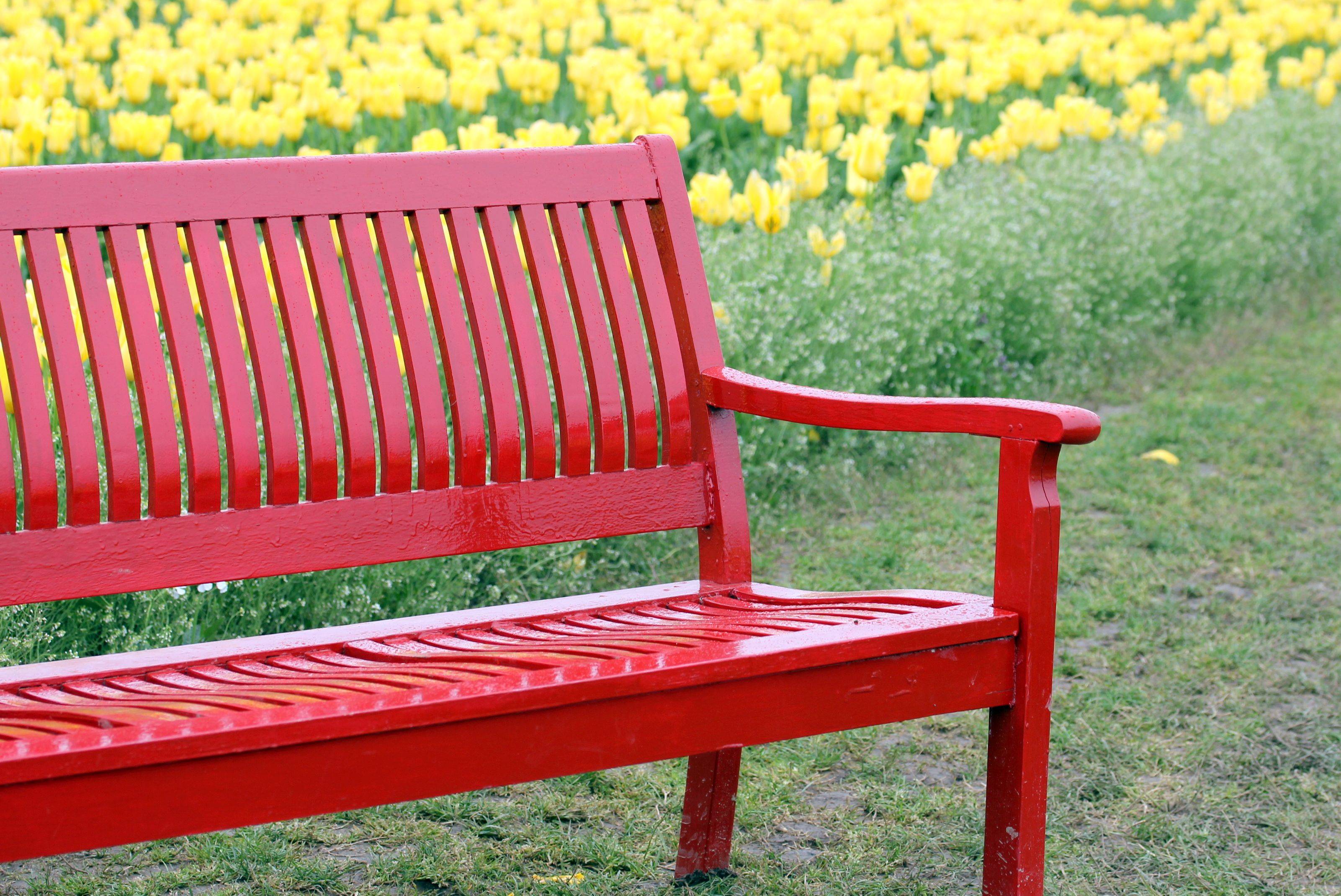 This Awesome Garden Bench Yellow Ideas