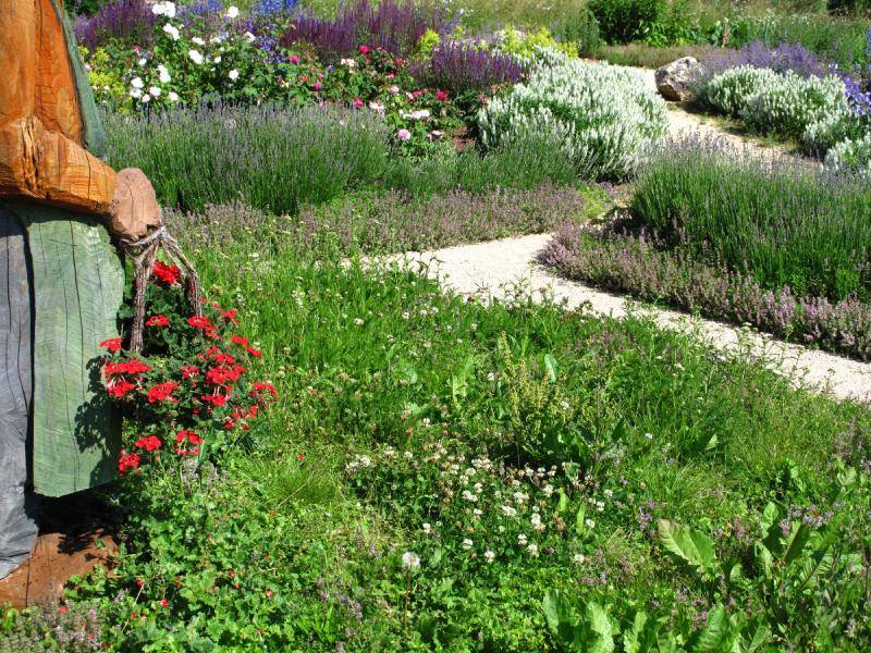 22 French Herb Garden Ideas For This Year SharonSable