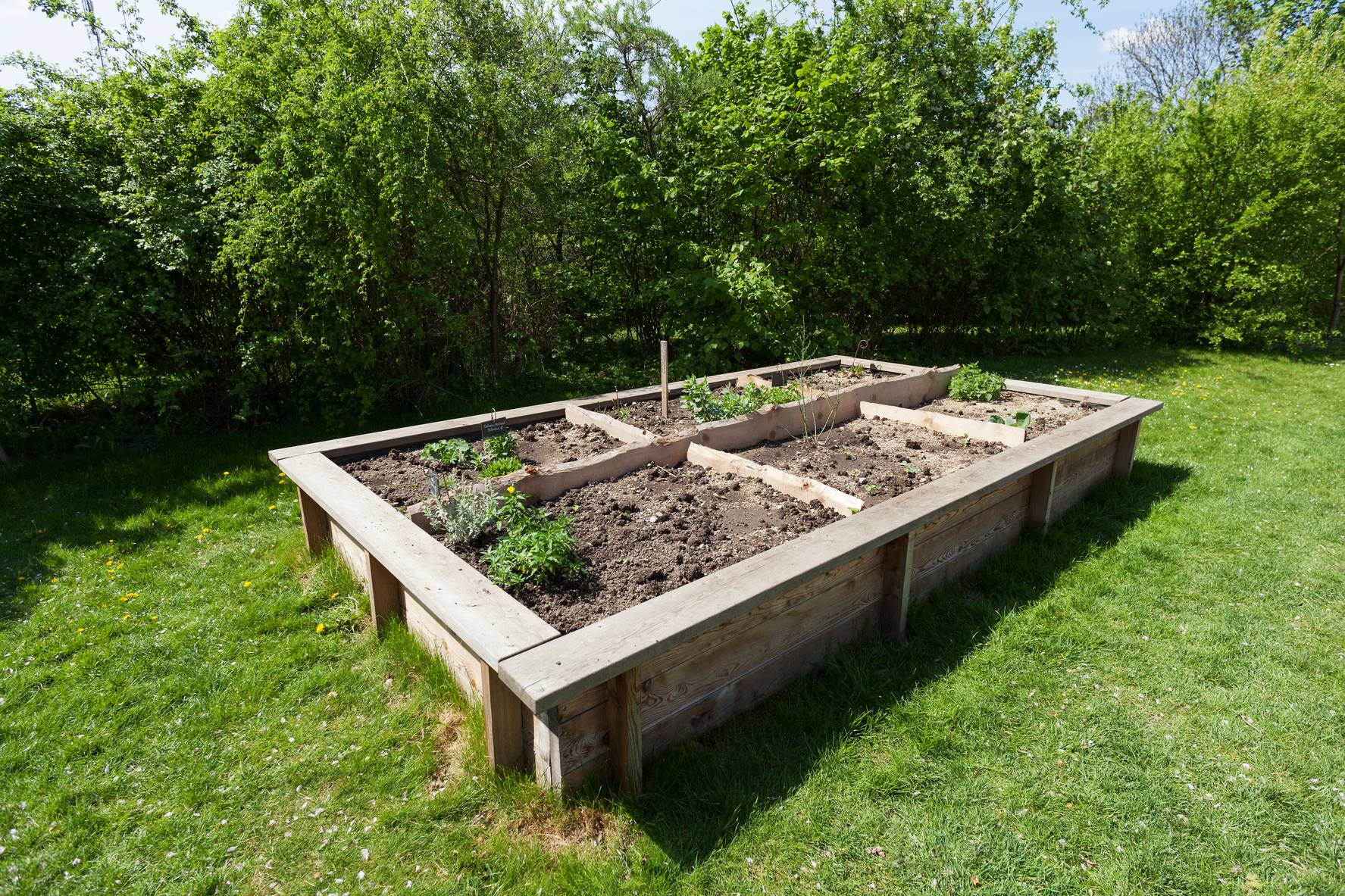 Inspiring Diy Raised Garden Bedsideas