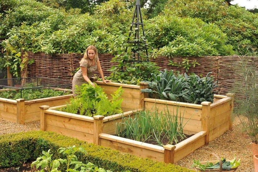 Raised Garden Beds