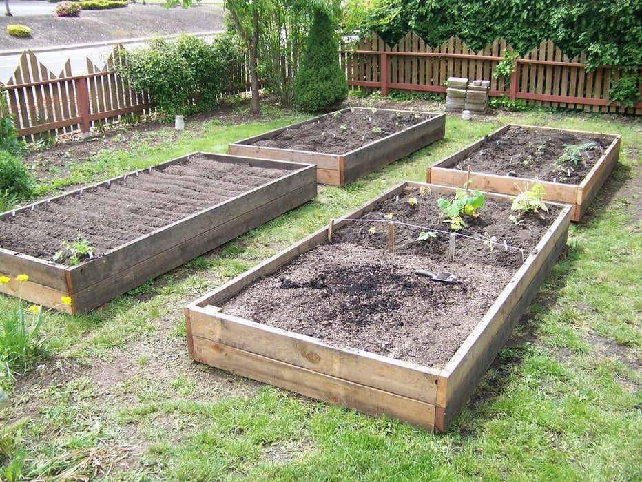 Allotment Wooden Raised Beds Harrod Horticultural