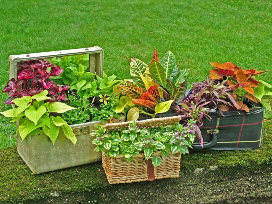 Diy Garden Planter Ideas