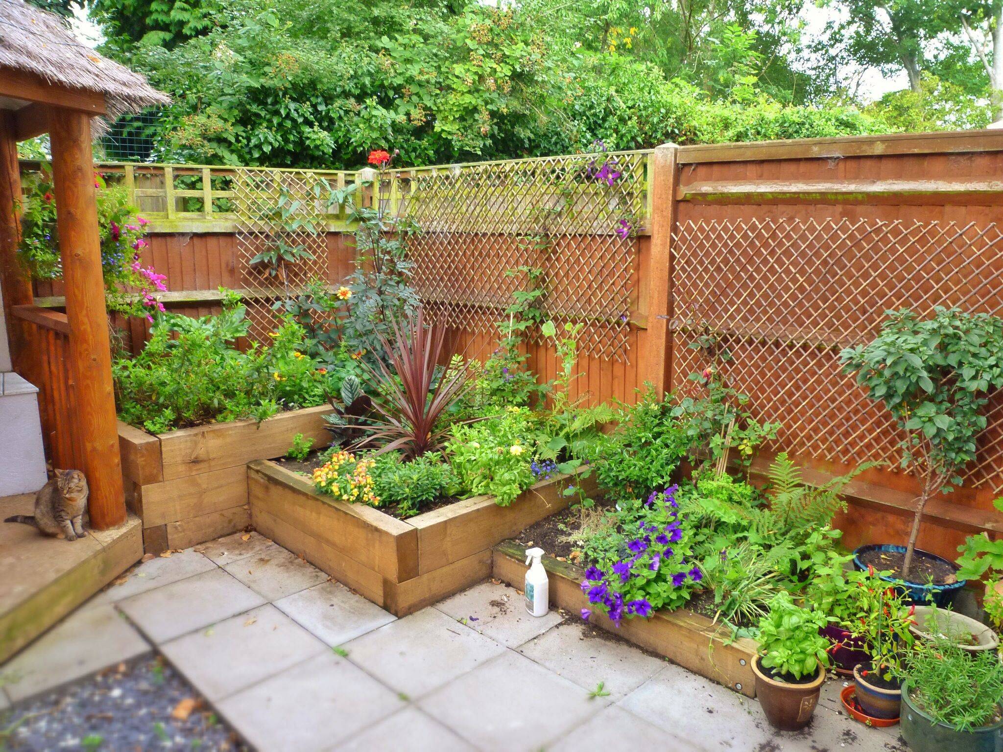 My Elevated Raised Bed Garden