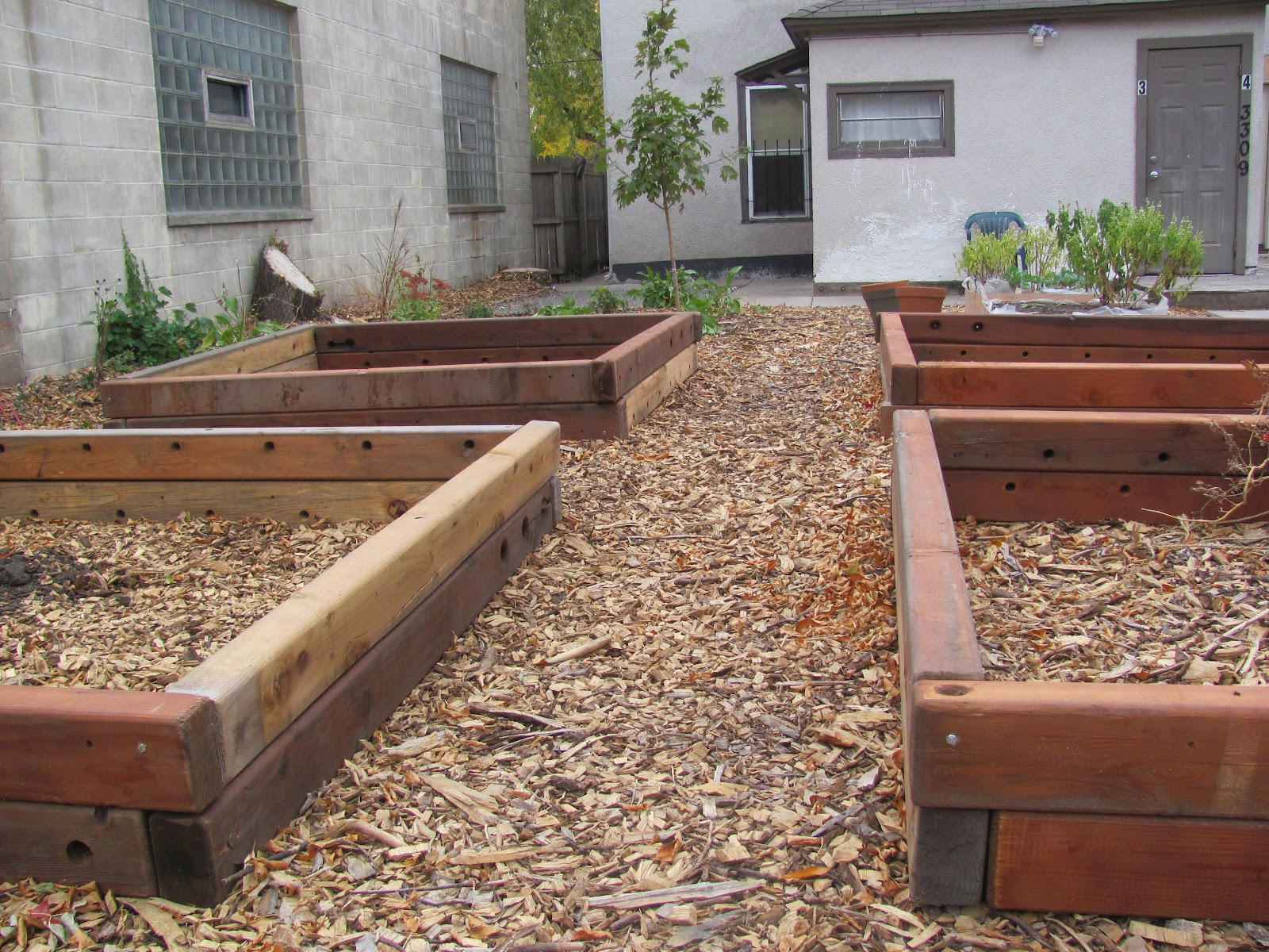 A Successful Vegetable Garden