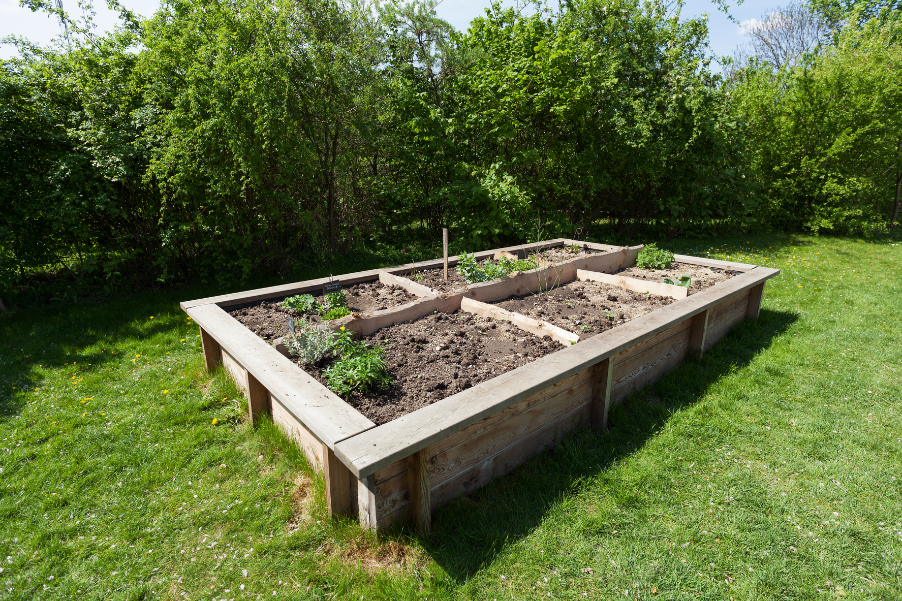 Diy Raised Garden Bed Plans