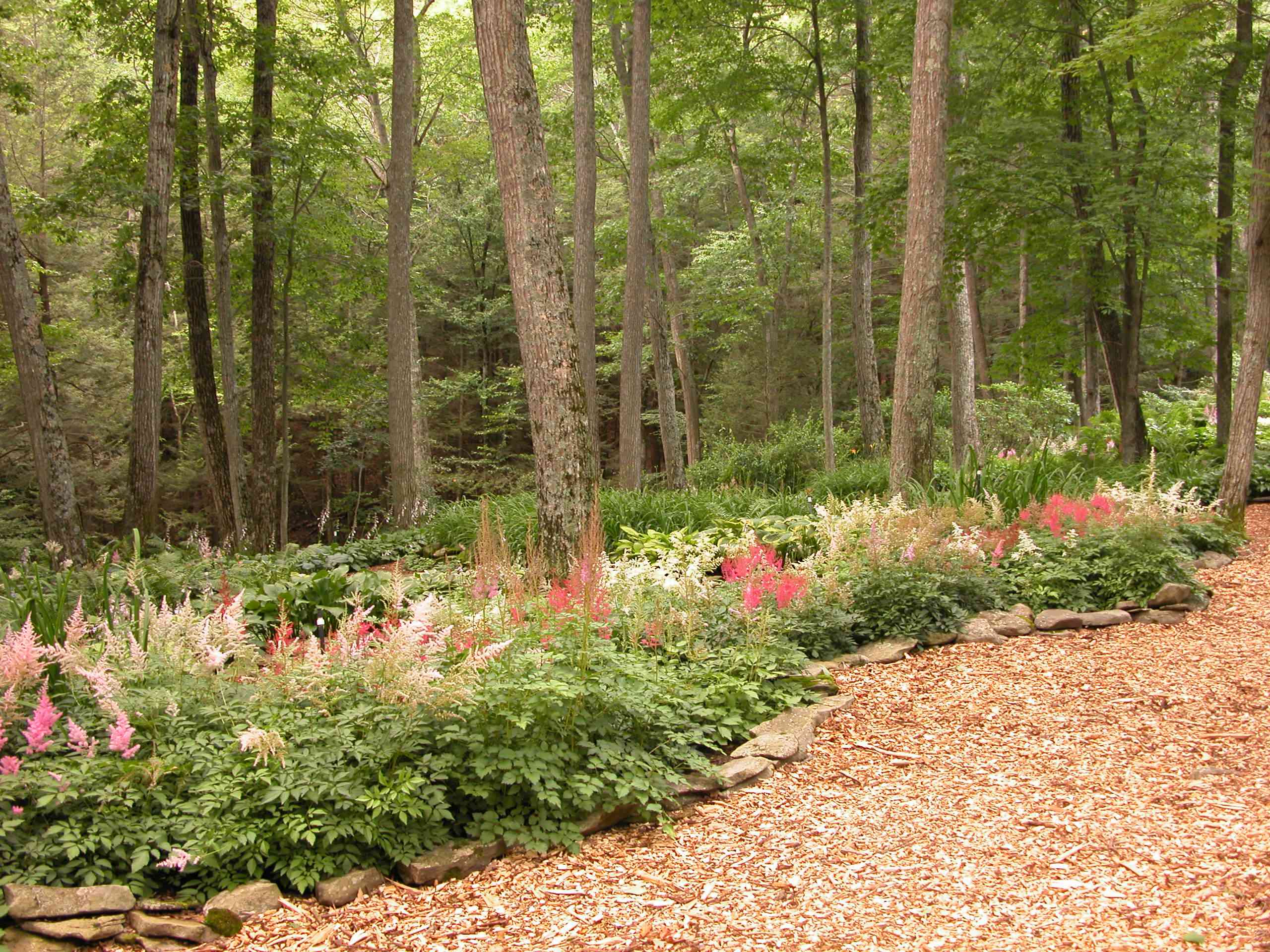 Overgrown Garden Ideas Garden