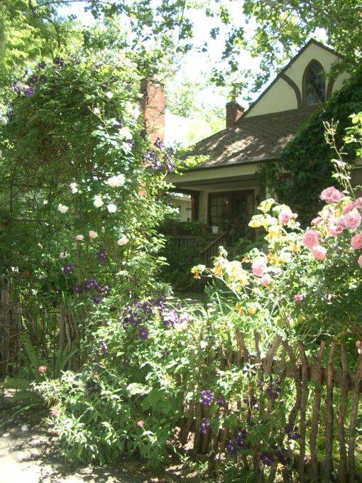 Beautiful Overgrown Fall Garden