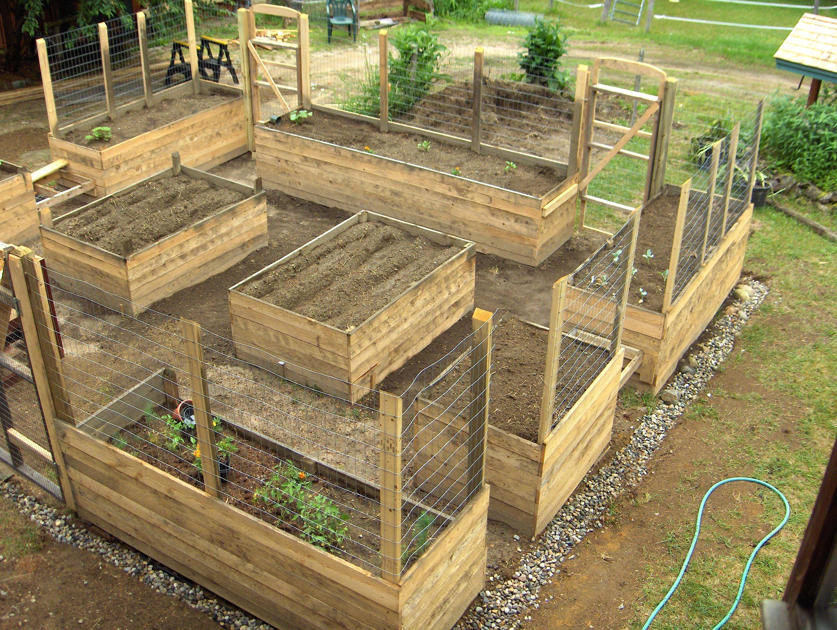 Raised Garden Fence Ideas
