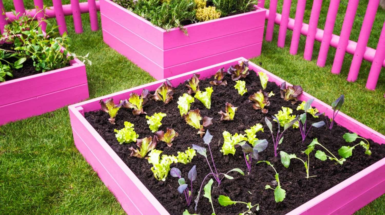 Diy Raised Garden