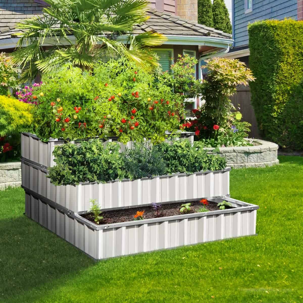 A Self Watering Raised Garden Bed