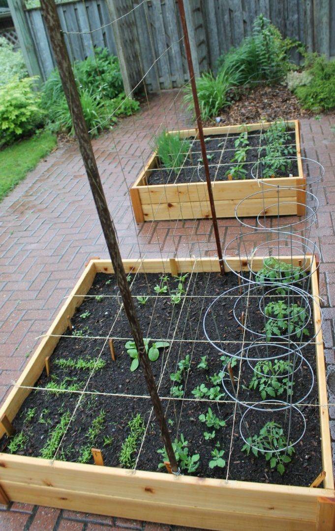 Diy Raised Garden Bed Little Frugal Homestead