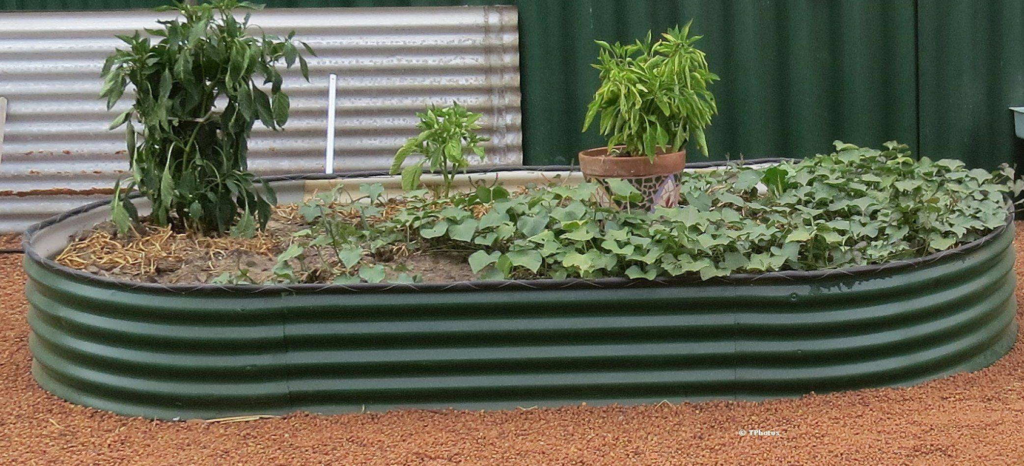 Four Inexpensive Raised Bed Ideas