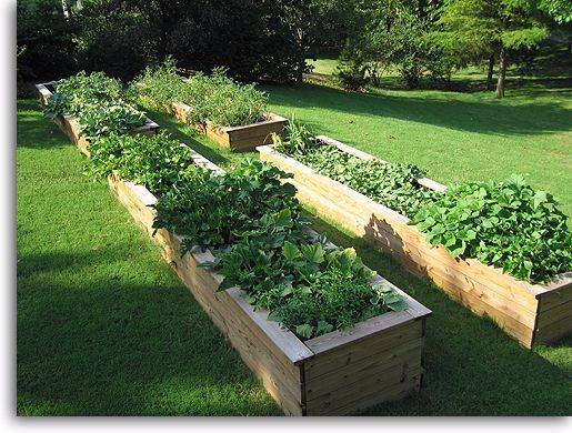 Cheap Raised Garden Beds