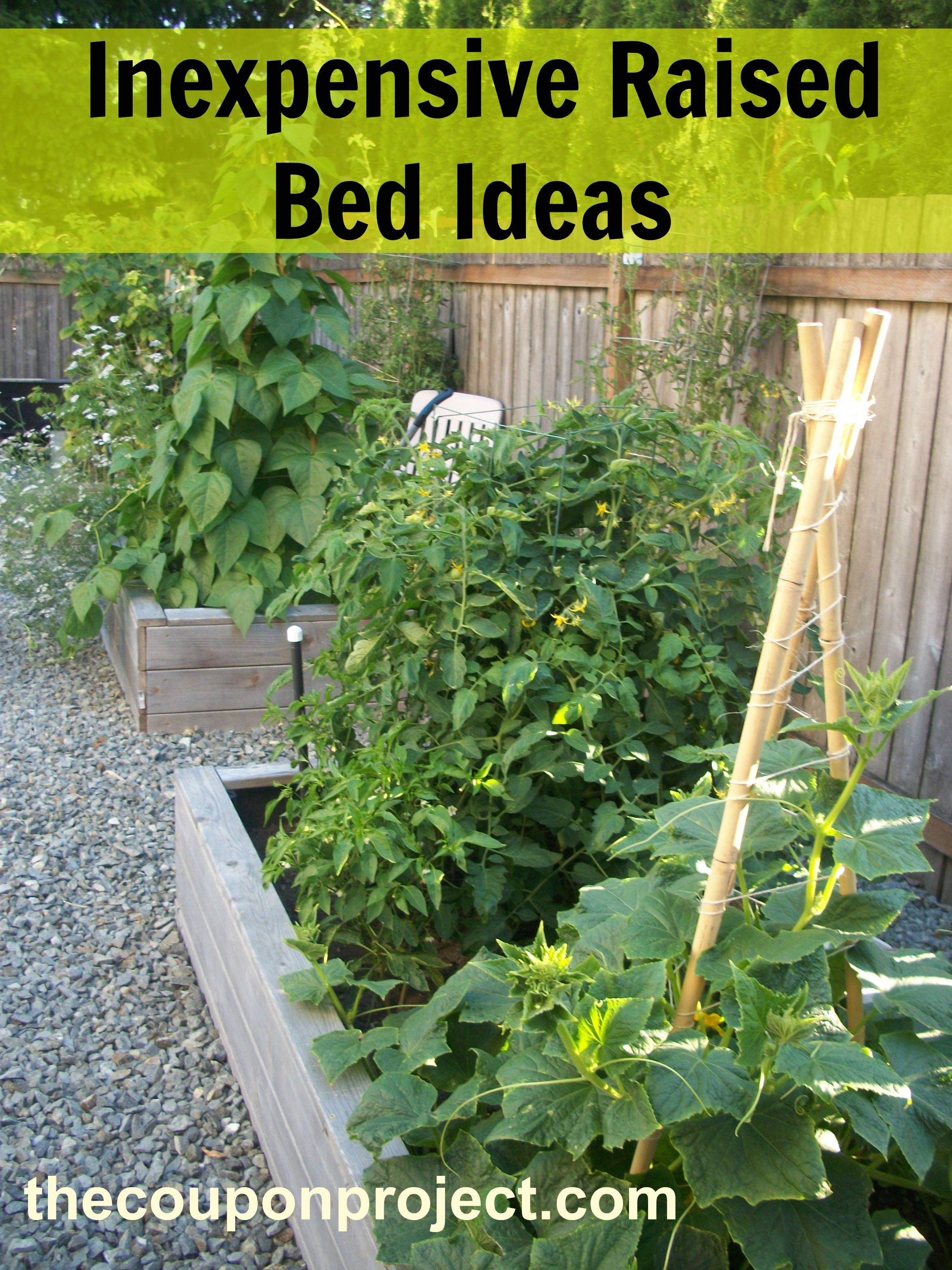 Frugal Raised Vegetable Beds