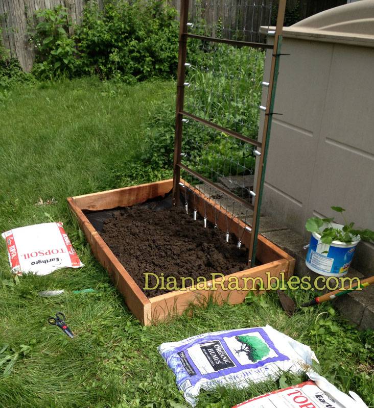 How To Build Raised Garden Boxes Diy