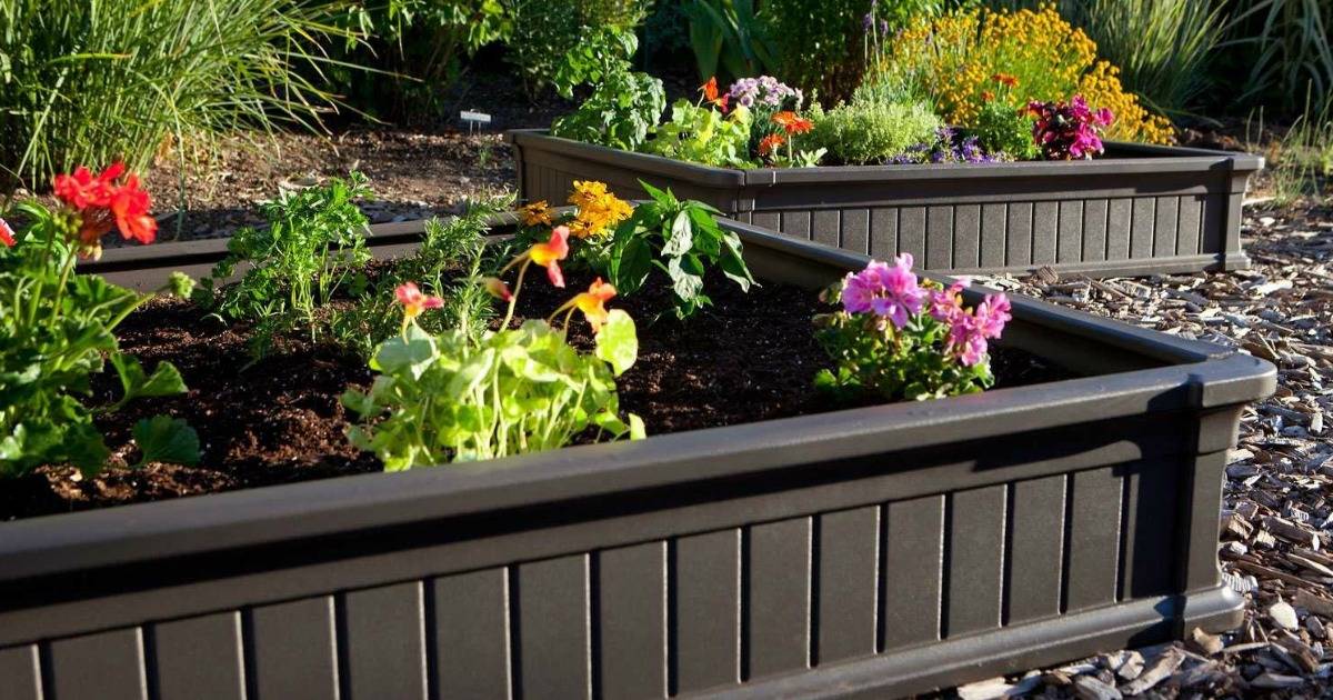 How To Build Raised Garden Boxes Diy