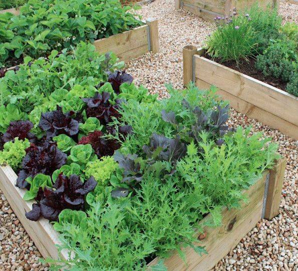 Inspiring Diy Projects Pallet Garden Design Ideas Frugal Living